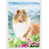 Collie (brun/bleu/vert)