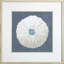 Shell On Slate VII Print by Meagher
