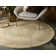 Moore Oriental Indoor Rug