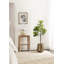 Figuier en figuier avec pot Portell-844837712-840316671