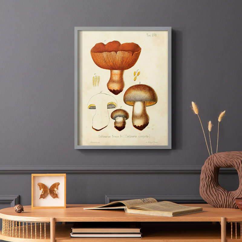 Champignon Variétés I, reproduction encadrée - bois massif, Cadre simple blanc, H 14 po x l 11 po