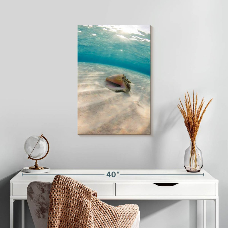Aletra Underwater Seashell, 24" H x 16" W
