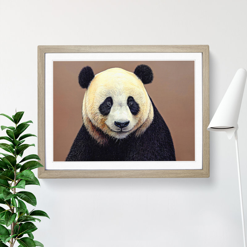 Fascinating Panda - Single Picture Frame Print, 25cm H x 34cm W x 2cm D, Oak Framed