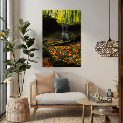 Waterfall In A Forest Blue Hen Falls Cuyahoga Valley National Park Ohio Usa Tranquil Abstract Contemporary Maple Autumn Forest Art
