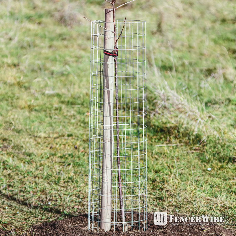 Fencer Wire 14 Gauge Galvanized Welded Wire with Mesh Size 2 inch by 4 inch, Multiple Sizes, 2 ft. H x 100 ft. W