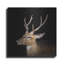 "Sika Deer" par Luxe-1005149730