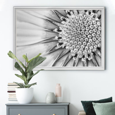 Quiet Burst II - reproduction de cadre photo