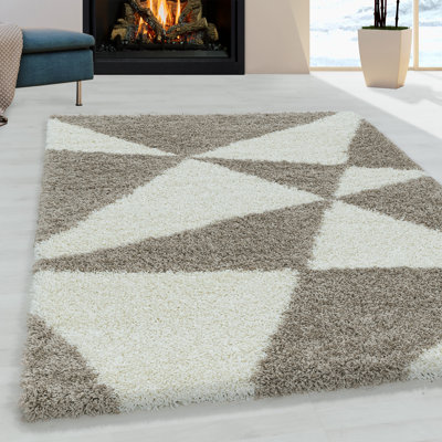 Tappahannock Shag Area Rug