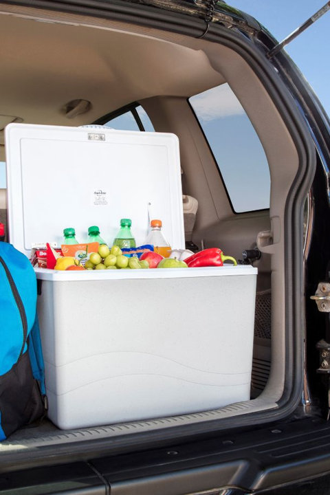 12 Volt Coolers/Freezers