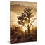 Sonoran Sun by Leda Robertson - Wrapped Canvas Print-842074601