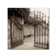 Modern & Contemporary-717879752