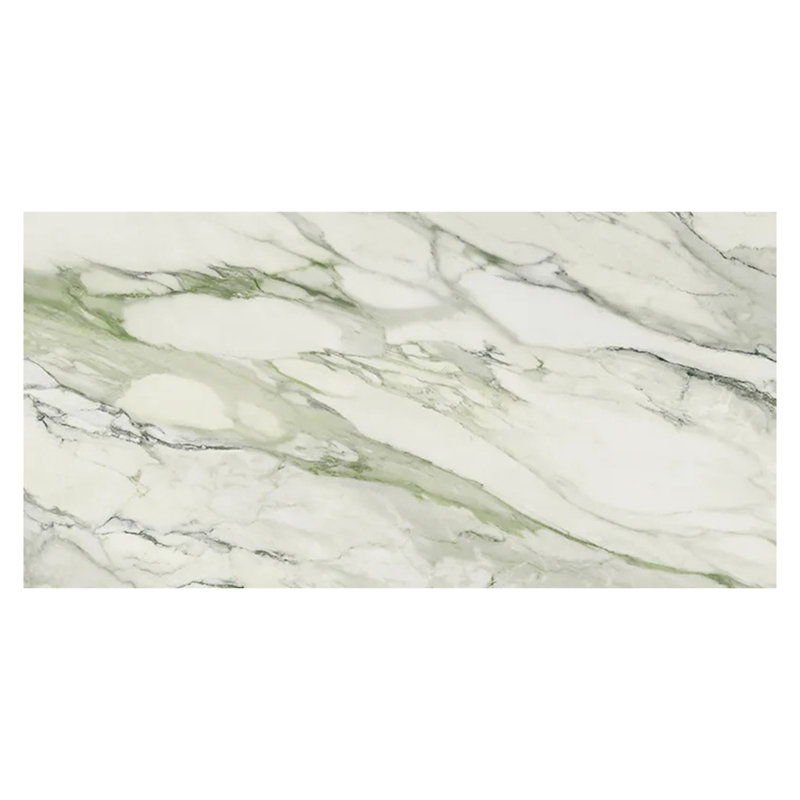 Splendor 24 po x 48 po Carreau de mur et de plancher en porcelaine polie avec veine vert sauge (paquet de 2 de 15,42 pieds carrés)