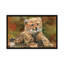 «Cheetah Cub Laying Down», impression sur toile-72410511-72410512-33109216