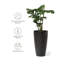 Pot à fleurs rond Boynton H 24 po avec tablette-2054899629-2054899619