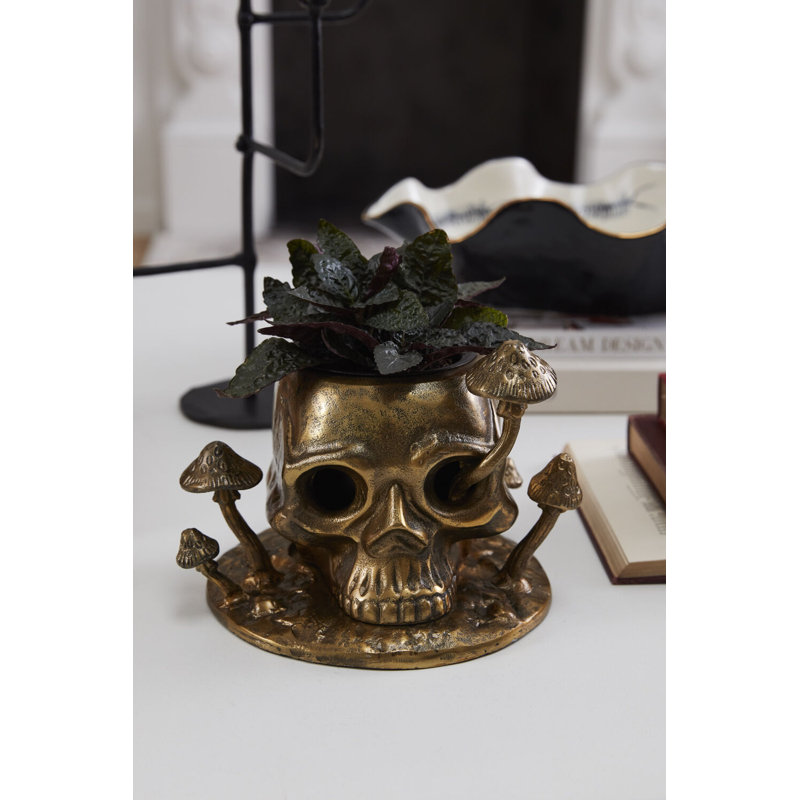 Cranium Pot 9.5"x 6.5"x 8"