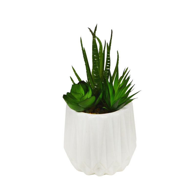 Plante grasse artificielle 3,5 "dans un vase côtelé blanc