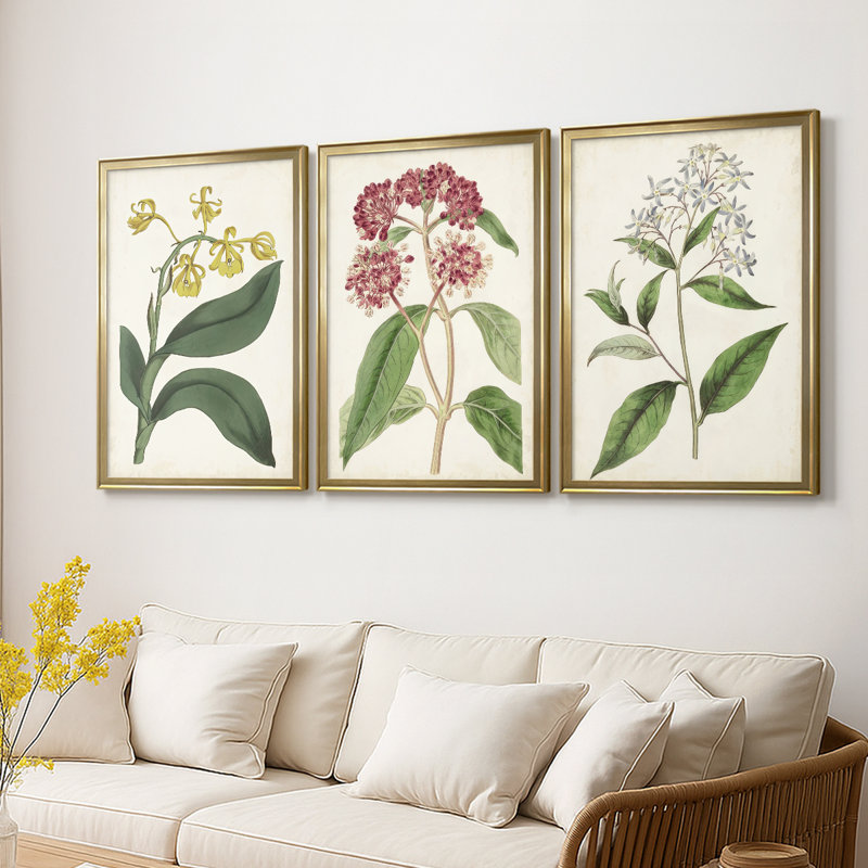Antique Botanical Collection X - Toile tendue avec châssis sur mesure - 3 pièces, H 19 po x l 27 po, Doré
