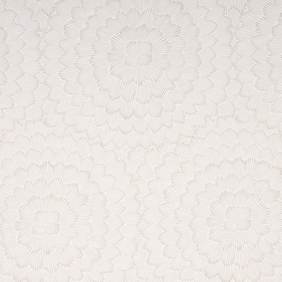 Feather Bloom Wallpaper