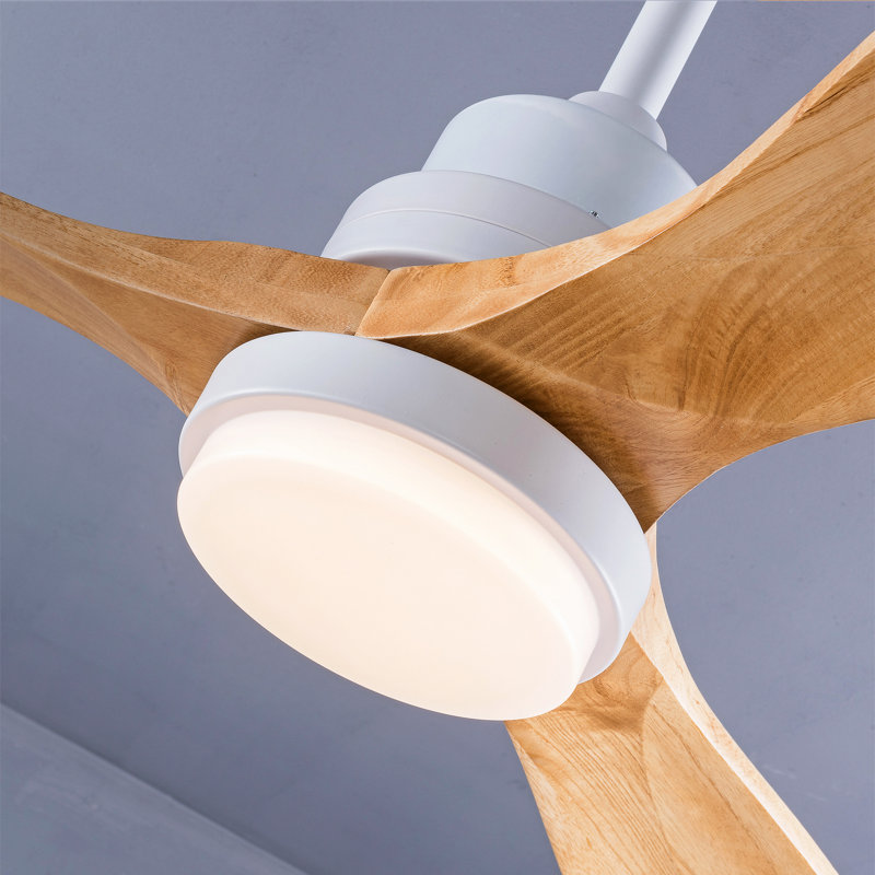 Ventilateur de plafond moderne avec moteur à courant continu réversible à télécommande à 3 pales à intensité variable 3 couleurs
