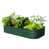British Green