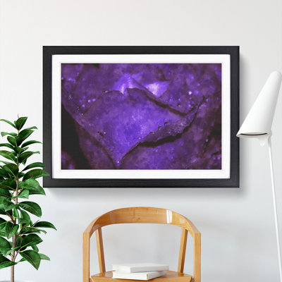 Purple Rose Flower Vol.4 - Framed Print