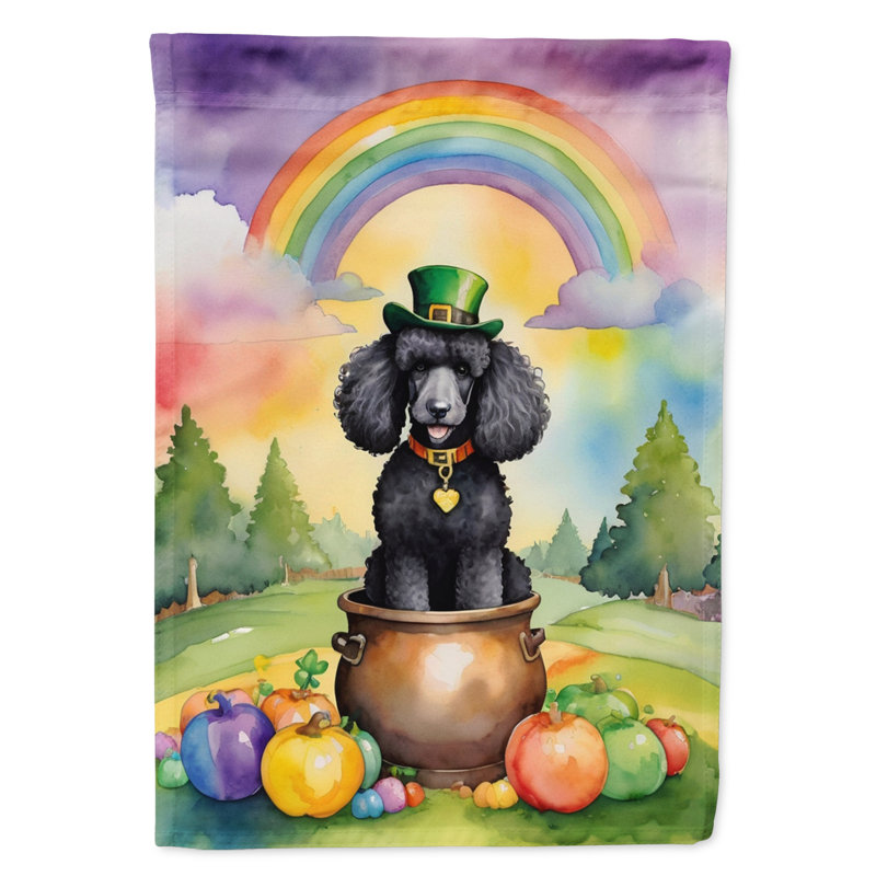 Drapeau double face en polyester H 40 po x l 28 po St Patrick's Day House