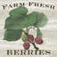 « farm fraîche raspberries », impression sur toile tendue-19754431-74876928-74876929