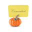 Harvest Renin Pumpkin Place Card Holder