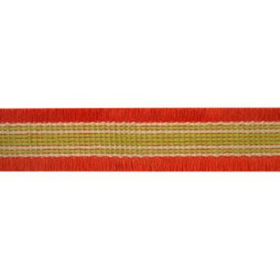 Tissu Carnivale