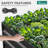 Seiter 8X4x2ft Metal Outdoor Raised Garden Bed with gloves,Cream-192052847-192052844