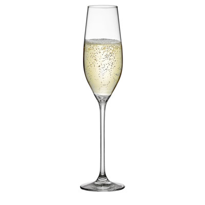 Celebration 8 oz. Champagne Flute
