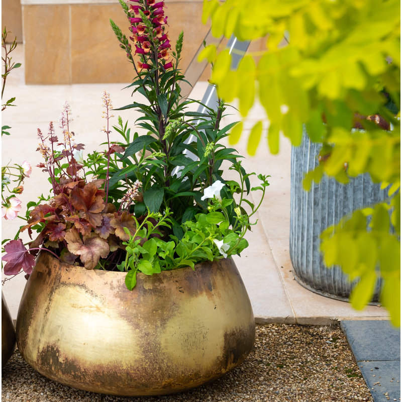 Pelaez Metal Pot Planter, 32cm H x 54cm W x 54cm D