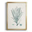 Antique encadré de qualité supérieure corail VII - prêt à accrocher - 2846806-88269087-88269081