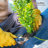 Dewitt Commercial and Home Garden Landscape Weed Block Barrier-105867620