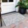  Alegandro Area Rug with Non-Slip Backing
