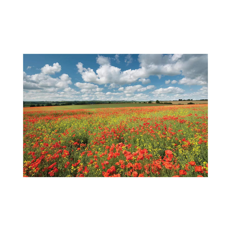Colours Of Summer by Adam Burton - Print on Canvas, Wrapped Canvas, 20.32cm H x 30.48cm W x 1.91cm D