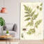Ivies and Ferns I Crop - Peinture-226202420-210487834