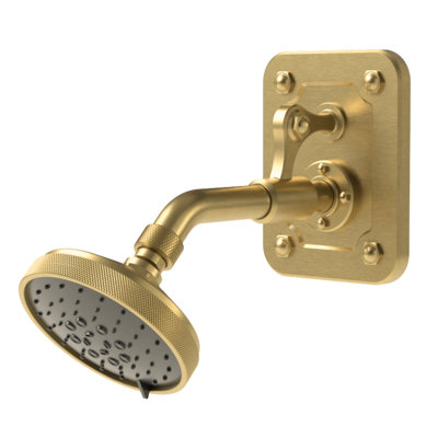 Argonaut Wall Mount Shower Head w/ Back Plate