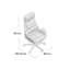 Ashlynn Executive Chair with Headrest