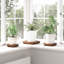 Plant Stand - Set of 3