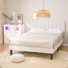 3 Pieces Bedroom Set Upholstered Bed Frame With 4-Drawer Dresser And Chest Set