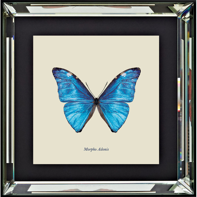 Single Picture Frame Print