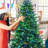 Lighted Pine Christmas Tree-650717333