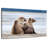 Brampt Bear Cub Siblings-108818552