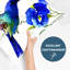 Hummingbird Square Pillow Cover & Insert-25458923