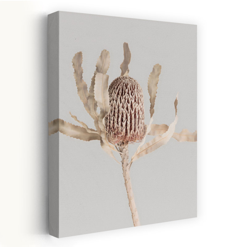 Banksia, architecture contemporaine abstraite, art mural, H 18 po x l 12 po