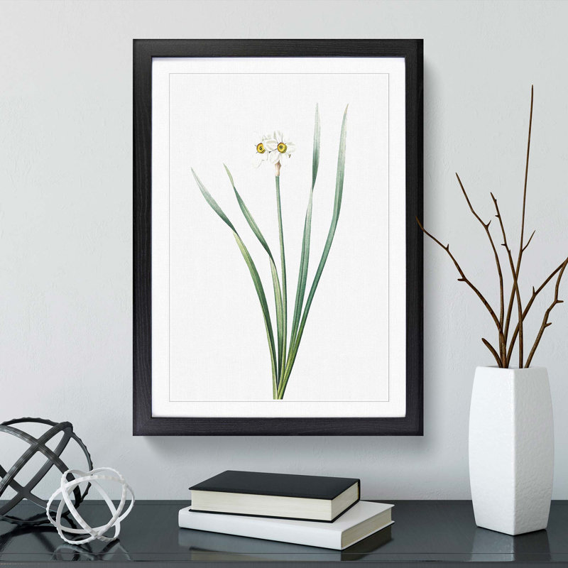 Primrose Flowers by Pierre-Joseph Redoute - Picture Frame Painting Print, 36cm H x 27cm W x 2cm D, Black Framed