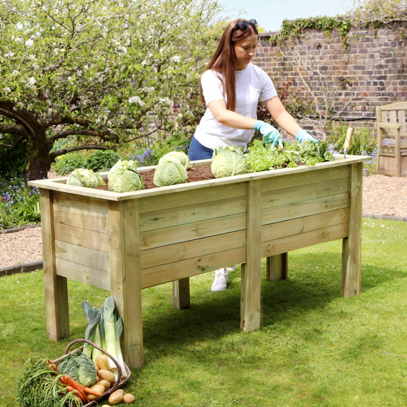 Jimmy 180cm x 70cm Wooden Raised Flower Bed