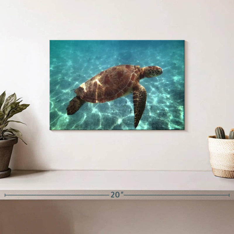 Brampt Endangered Hawksbill Turtle, 8'' H x 12'' W