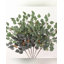Ensemble de 6 branches d'eucalyptus artificiel
